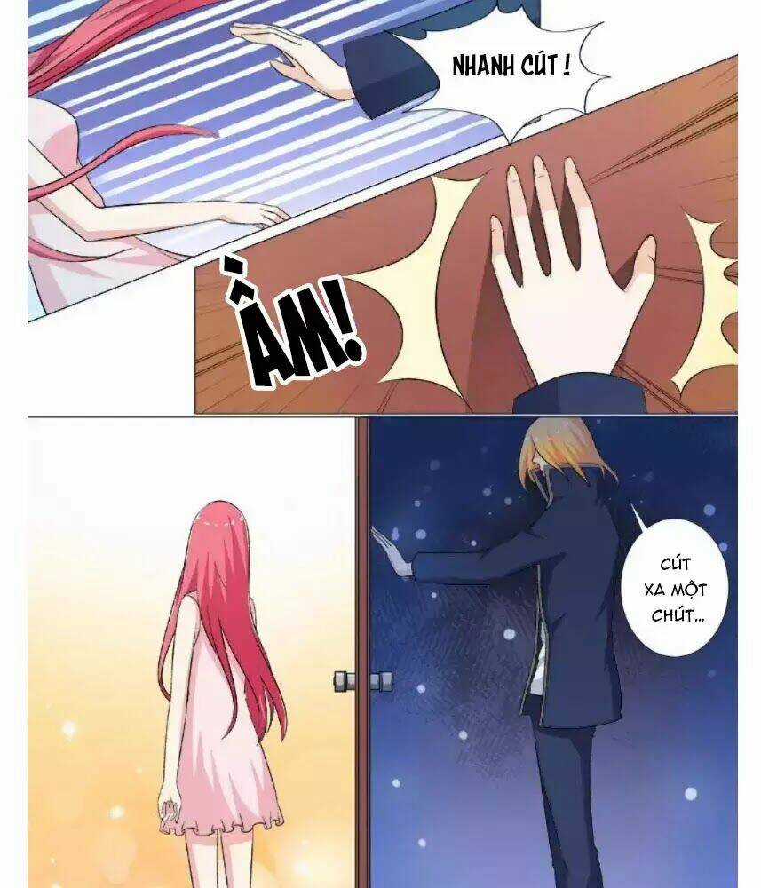 Bạn Trai Hắc Đạo Của Tôi Chapter 265 trang 14