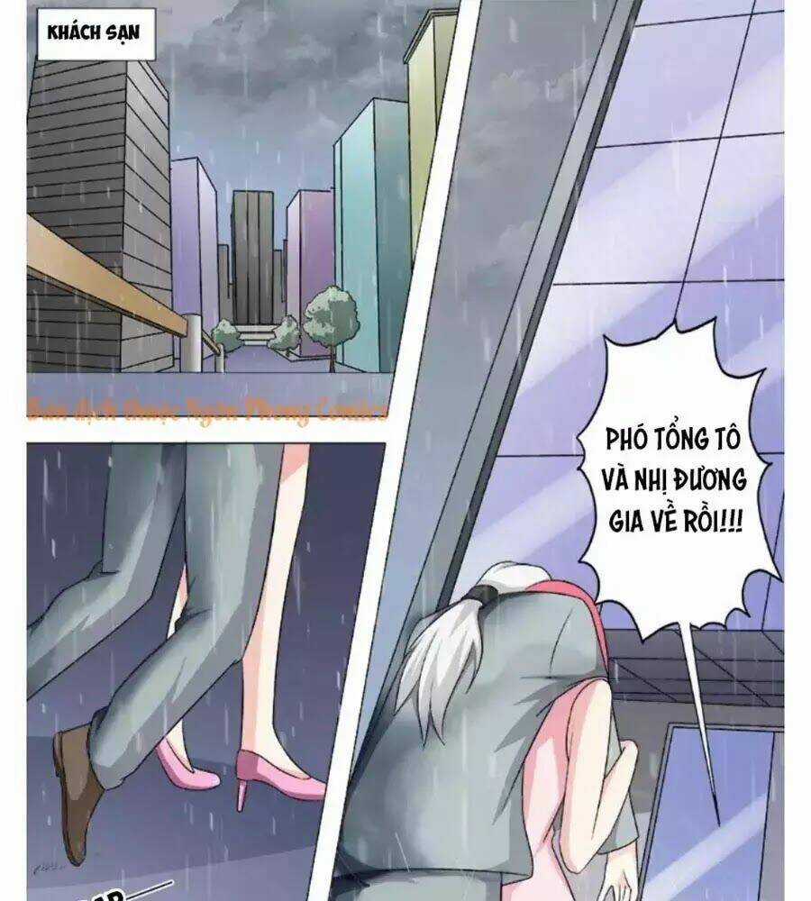 Bạn Trai Hắc Đạo Của Tôi Chapter 268 trang 8