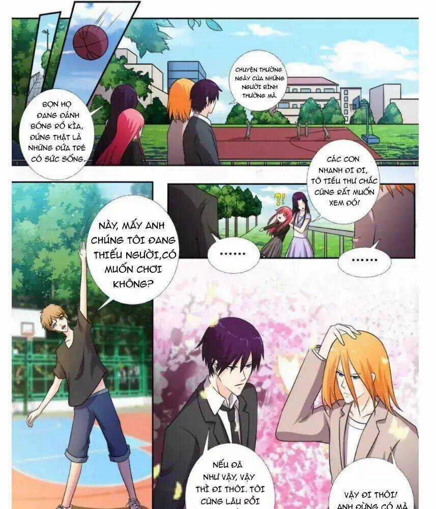 Bạn Trai Hắc Đạo Của Tôi Chapter 272 trang 14