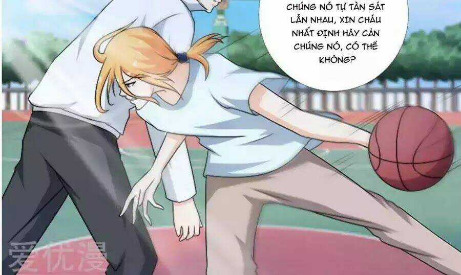 Bạn Trai Hắc Đạo Của Tôi Chapter 273 trang 11