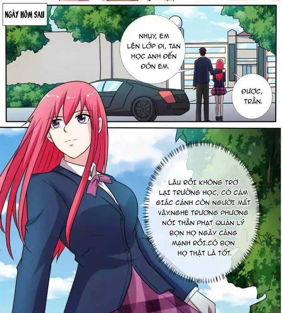 Bạn Trai Hắc Đạo Của Tôi Chapter 278 trang 6