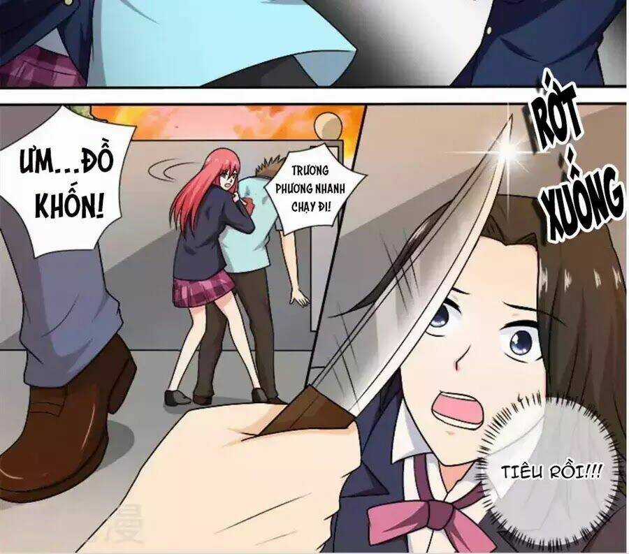 Bạn Trai Hắc Đạo Của Tôi Chapter 279 trang 11