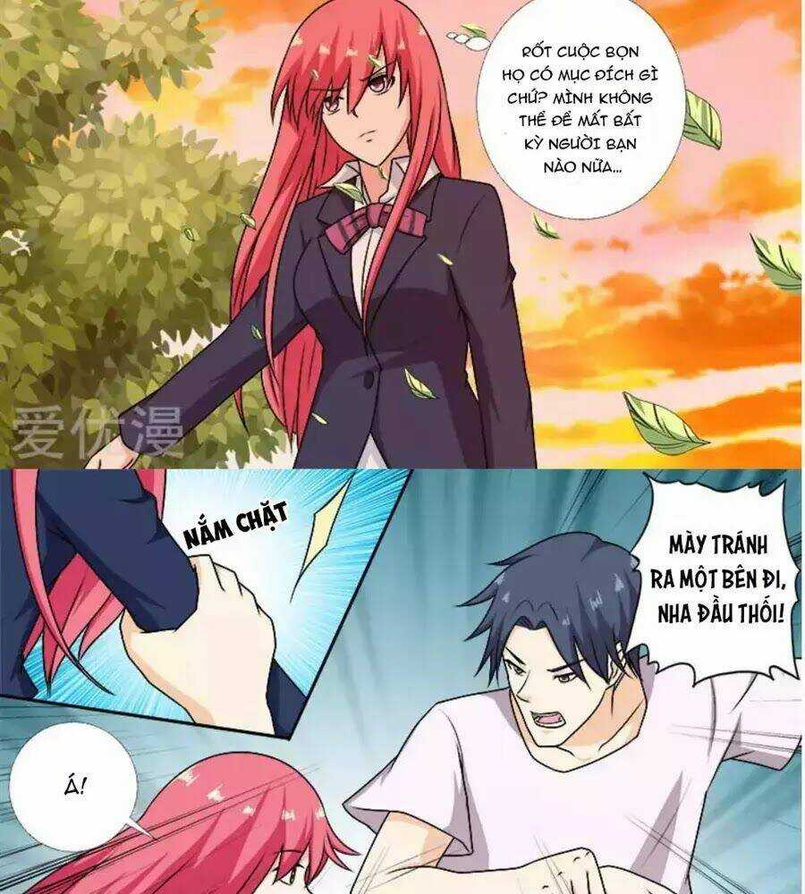 Bạn Trai Hắc Đạo Của Tôi Chapter 279 trang 5