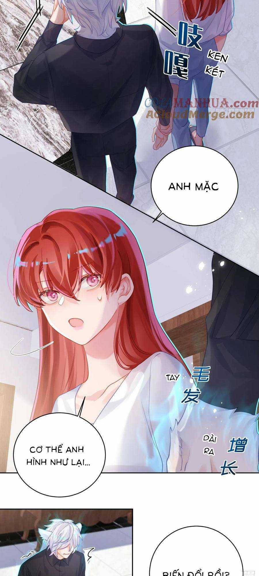 Bạn Trai Hóa Thú Của Tôi Chapter 25 trang 19