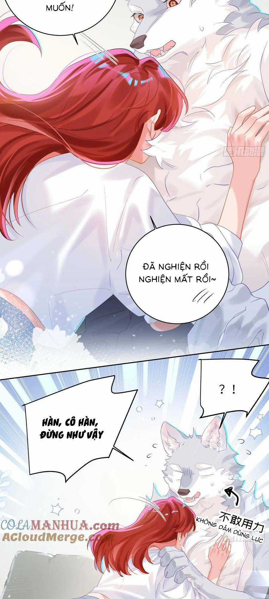 Bạn Trai Hóa Thú Của Tôi Chapter 26 trang 13