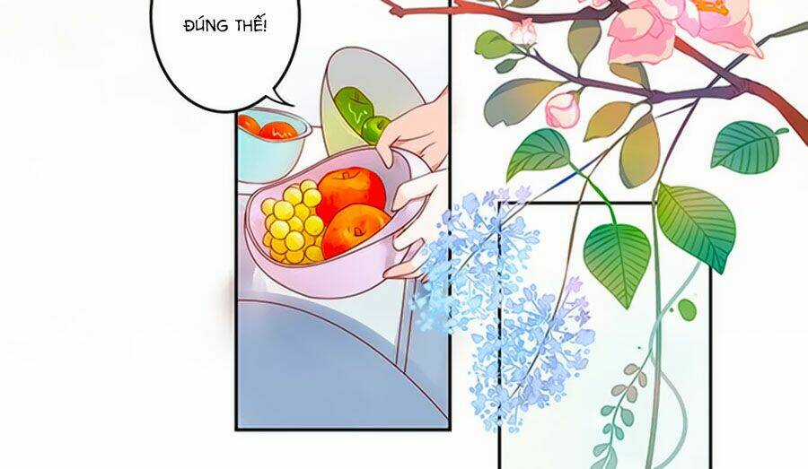 Bạn Trai Là Ngôi Sao Chapter 105 trang 36