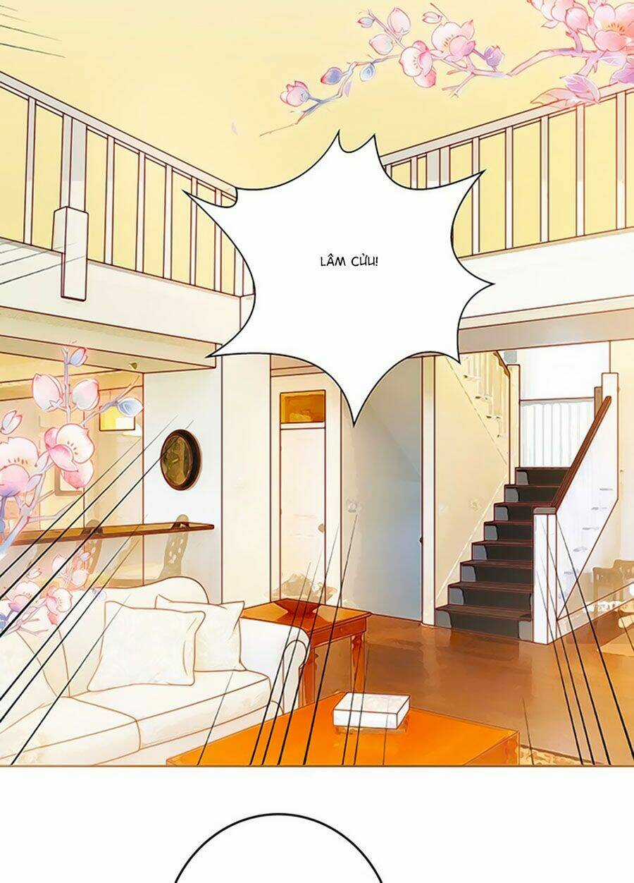 Bạn Trai Là Ngôi Sao Chapter 109 trang 33