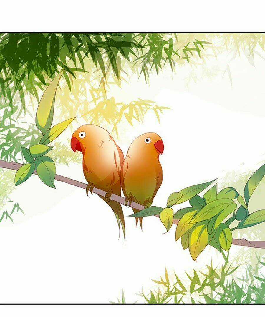 Bạn Trai Là Ngôi Sao Chapter 88 trang 6