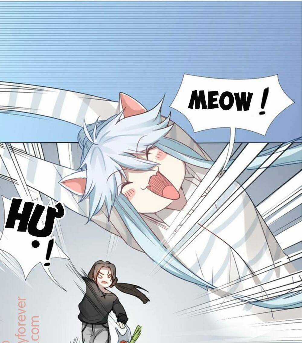 Bạn trai mèo Chapter 0.5 trang 15