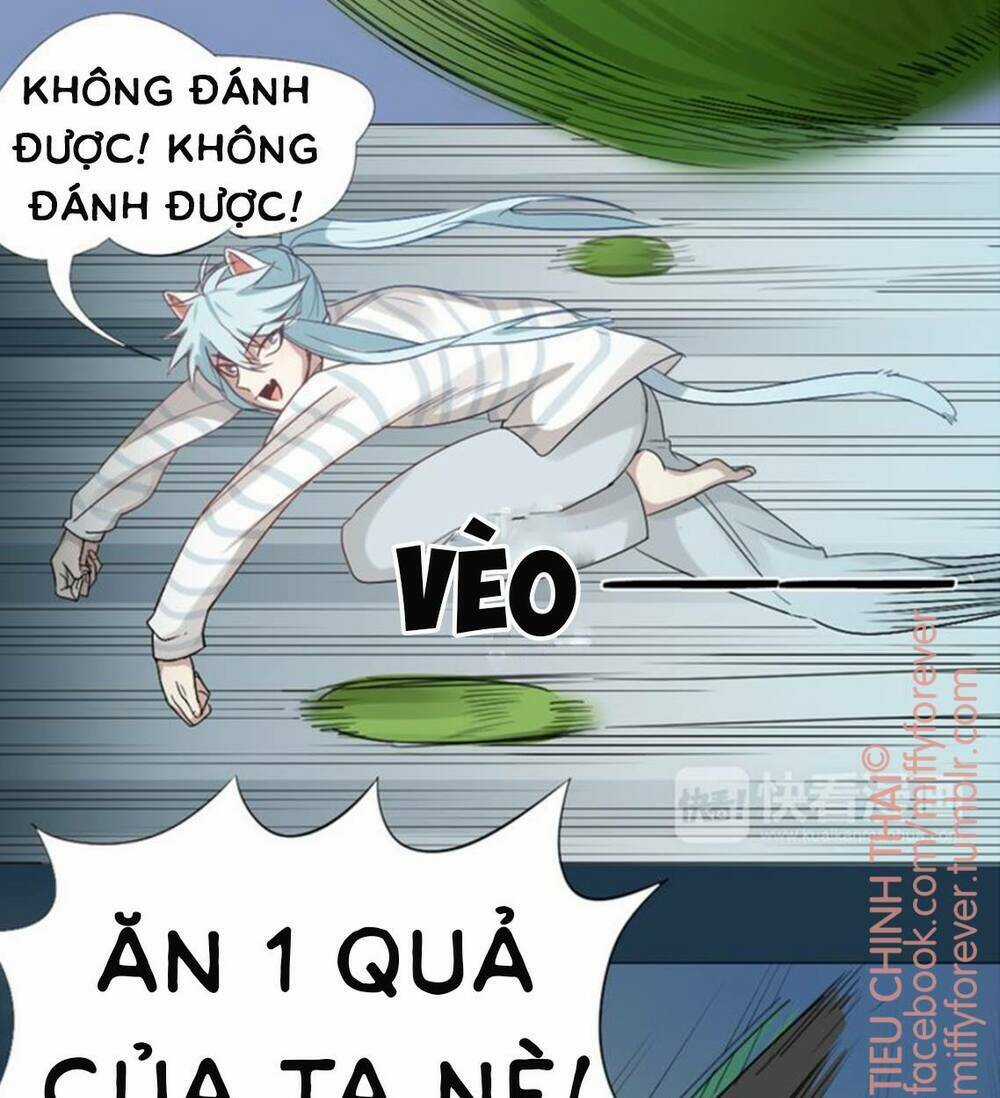 Bạn trai mèo Chapter 0.5 trang 17