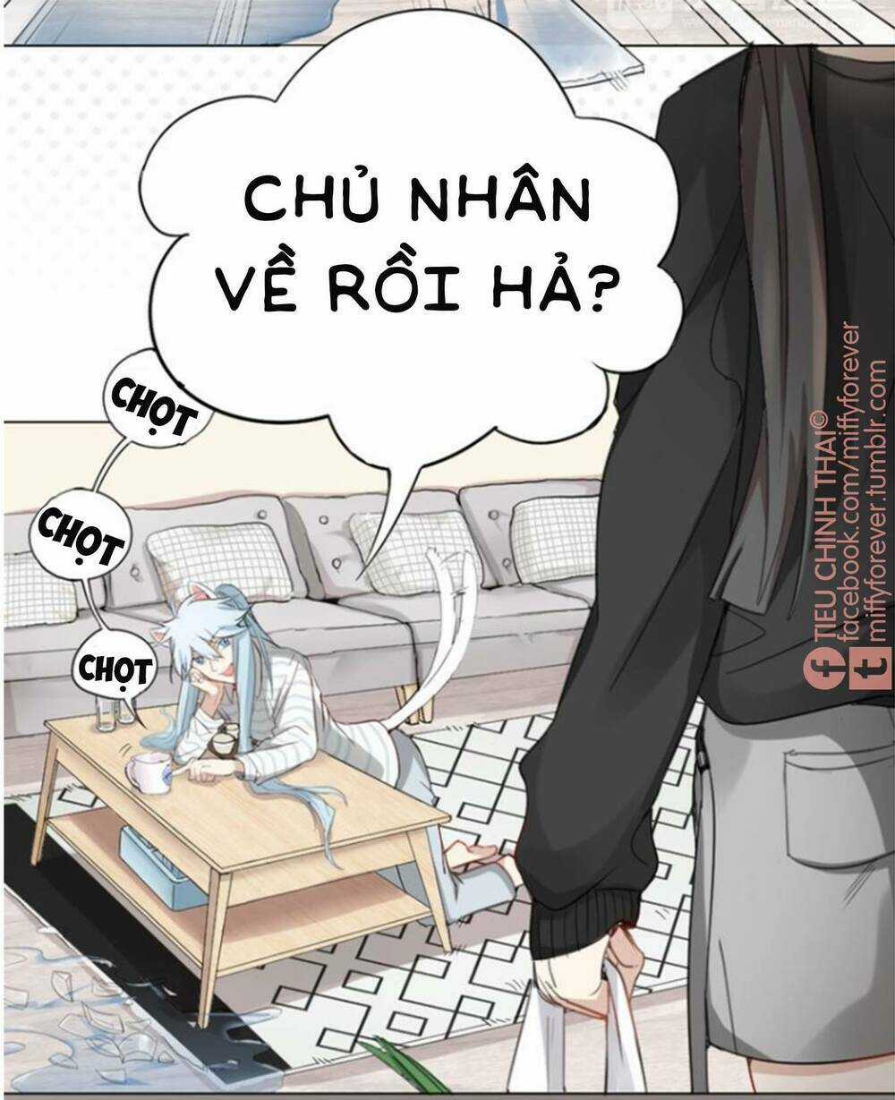 Bạn trai mèo Chapter 0.5 trang 4