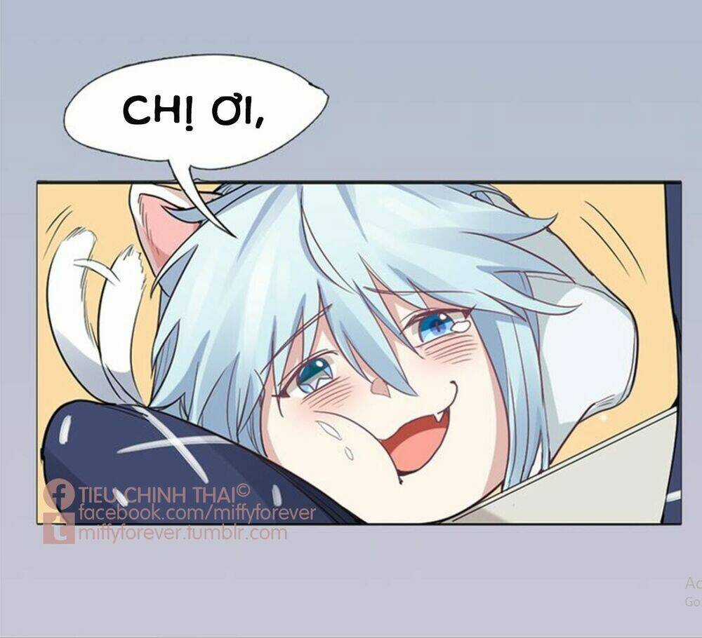 Bạn trai mèo Chapter 0 trang 15