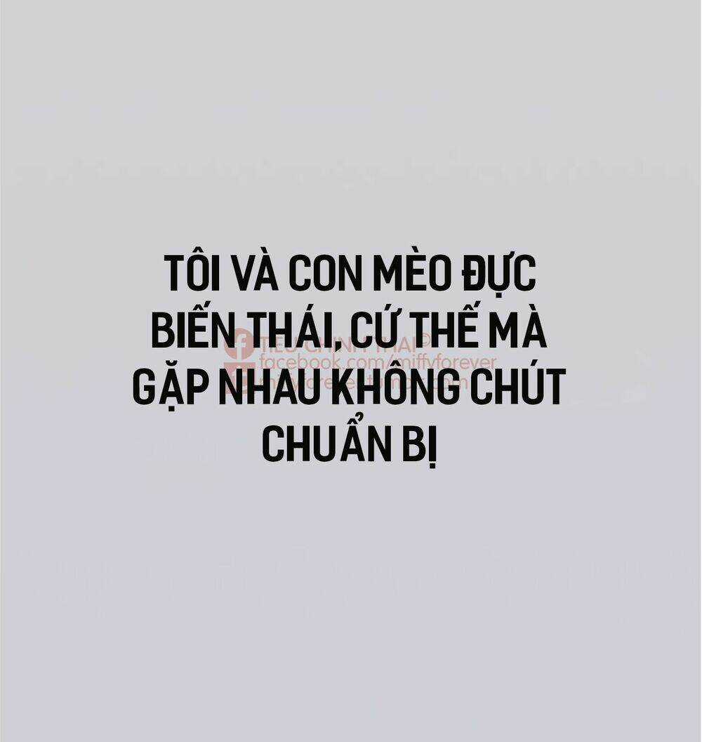 Bạn trai mèo Chapter 0 trang 8