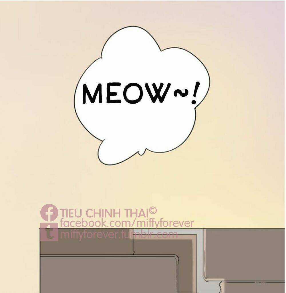 Bạn trai mèo Chapter 1 trang 40