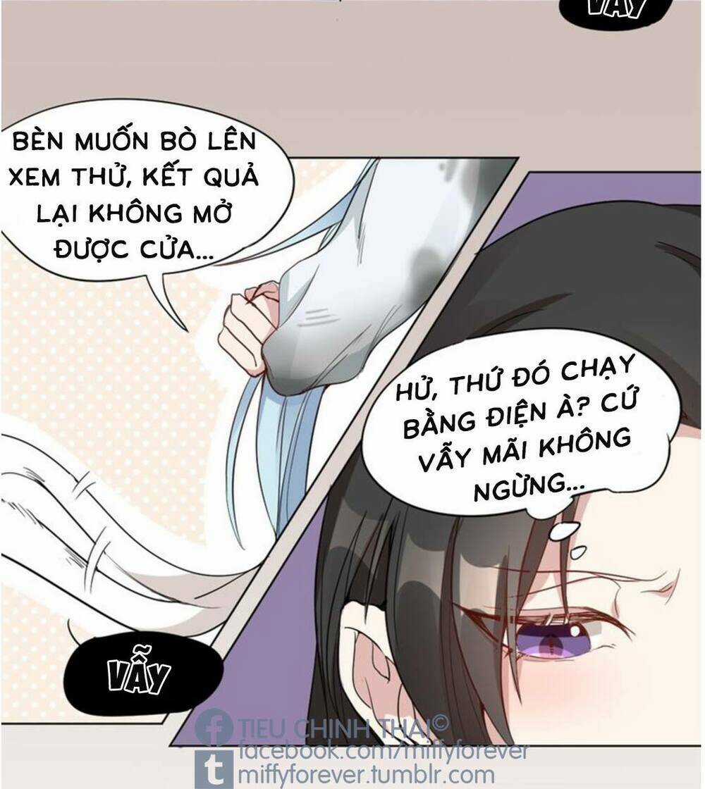 Bạn trai mèo Chapter 2 trang 14