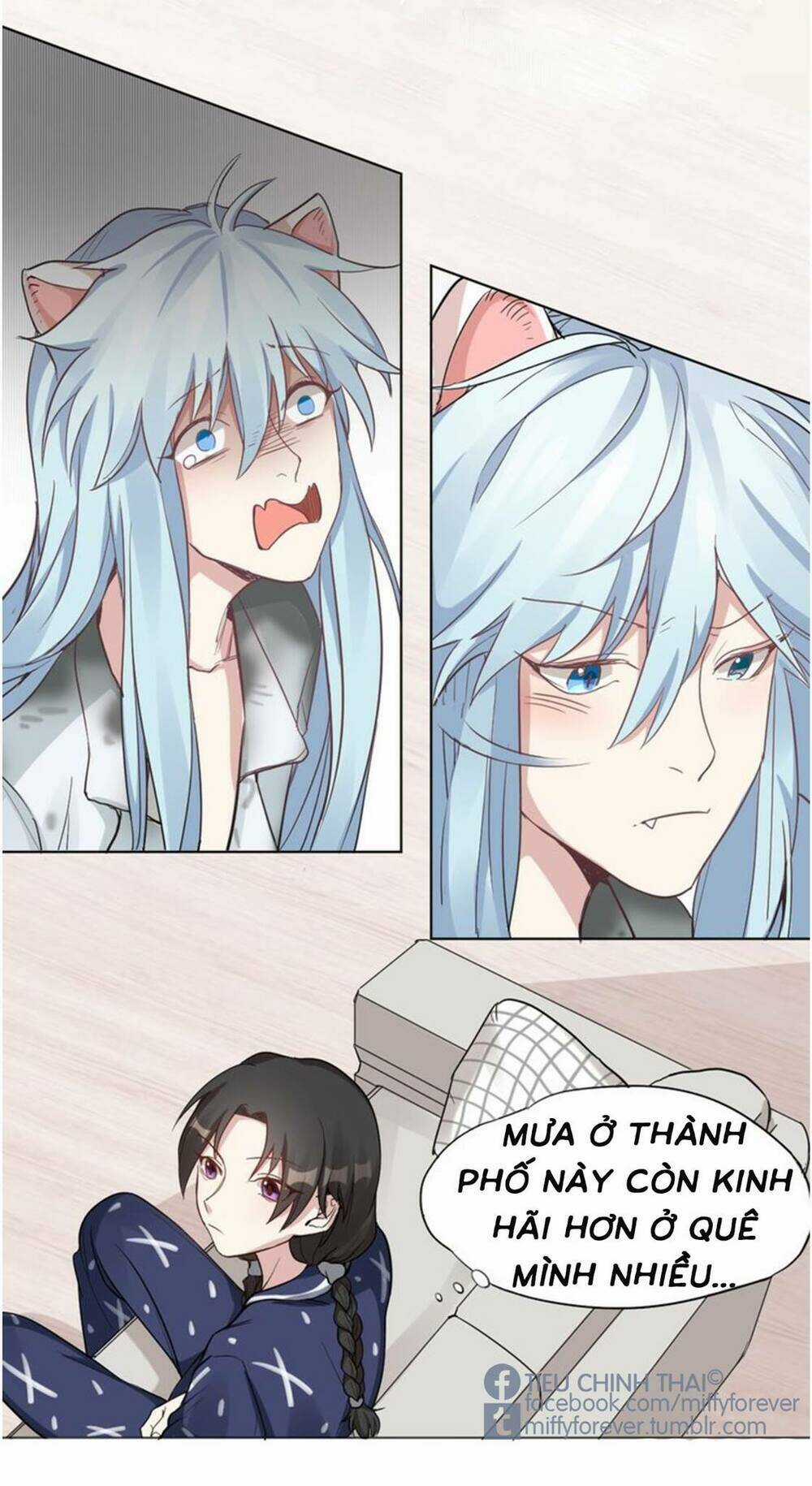 Bạn trai mèo Chapter 2 trang 16