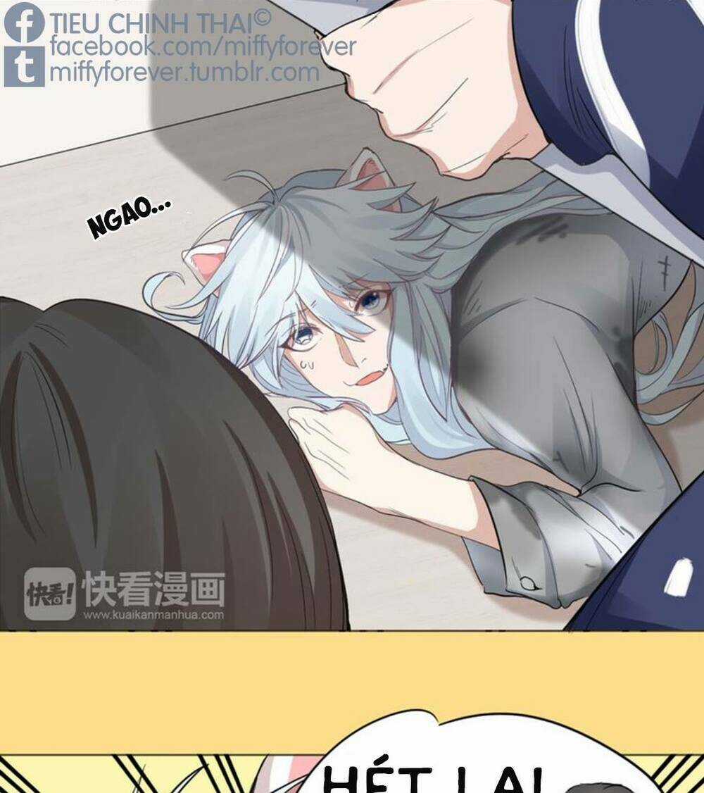 Bạn trai mèo Chapter 2 trang 8