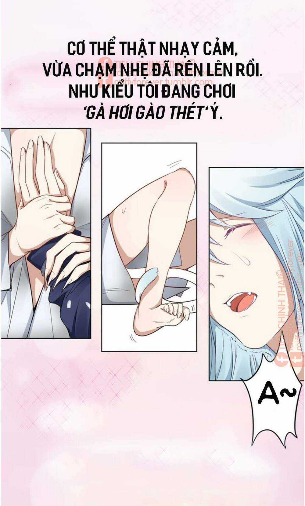 Bạn trai mèo Chapter 3 trang 11