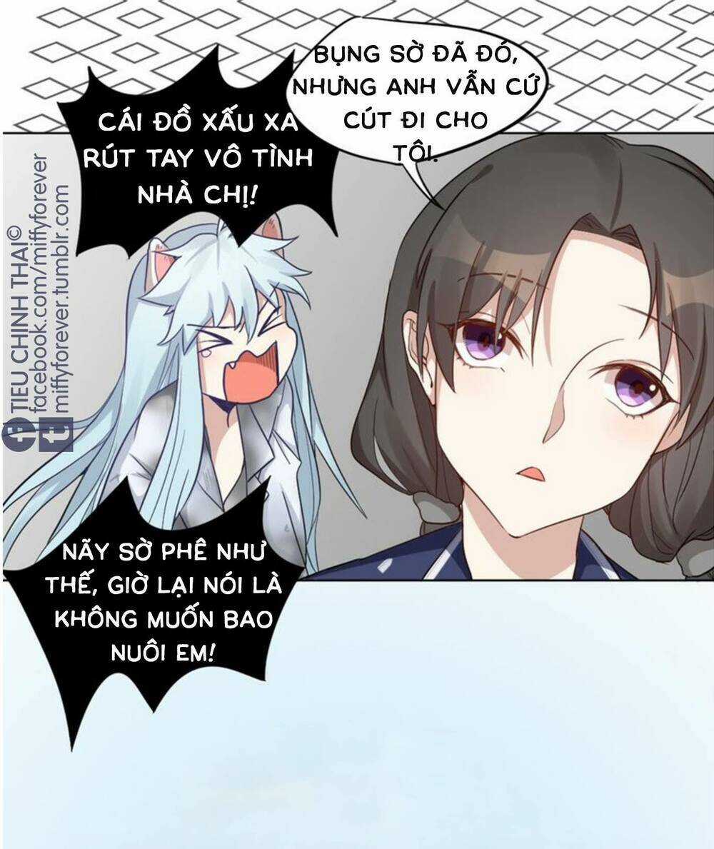 Bạn trai mèo Chapter 3 trang 17