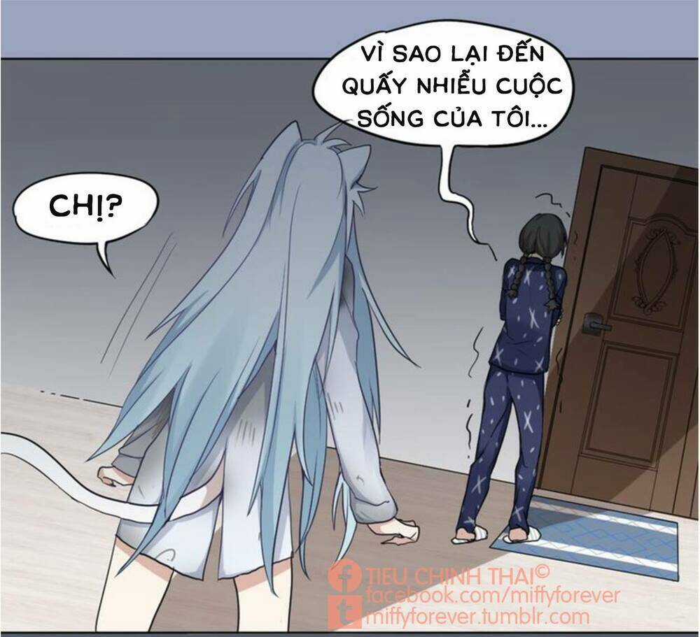 Bạn trai mèo Chapter 3 trang 24