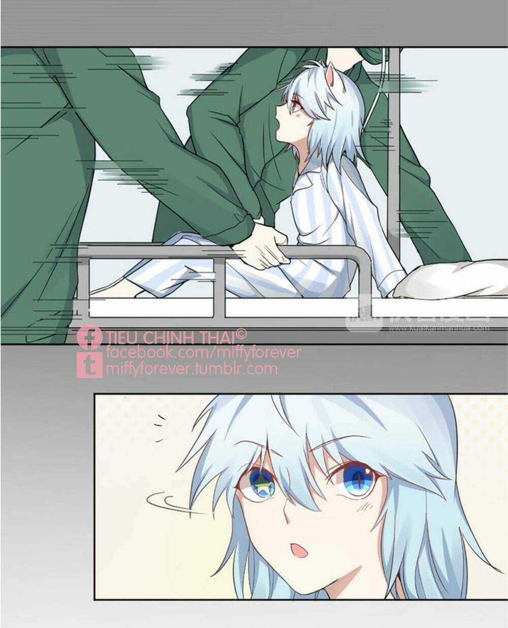 Bạn trai mèo Chapter 4 trang 15