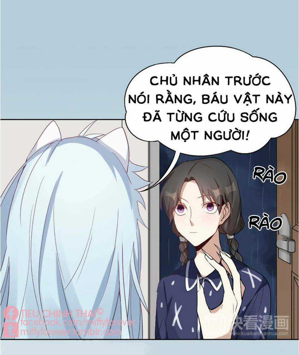 Bạn trai mèo Chapter 4 trang 18