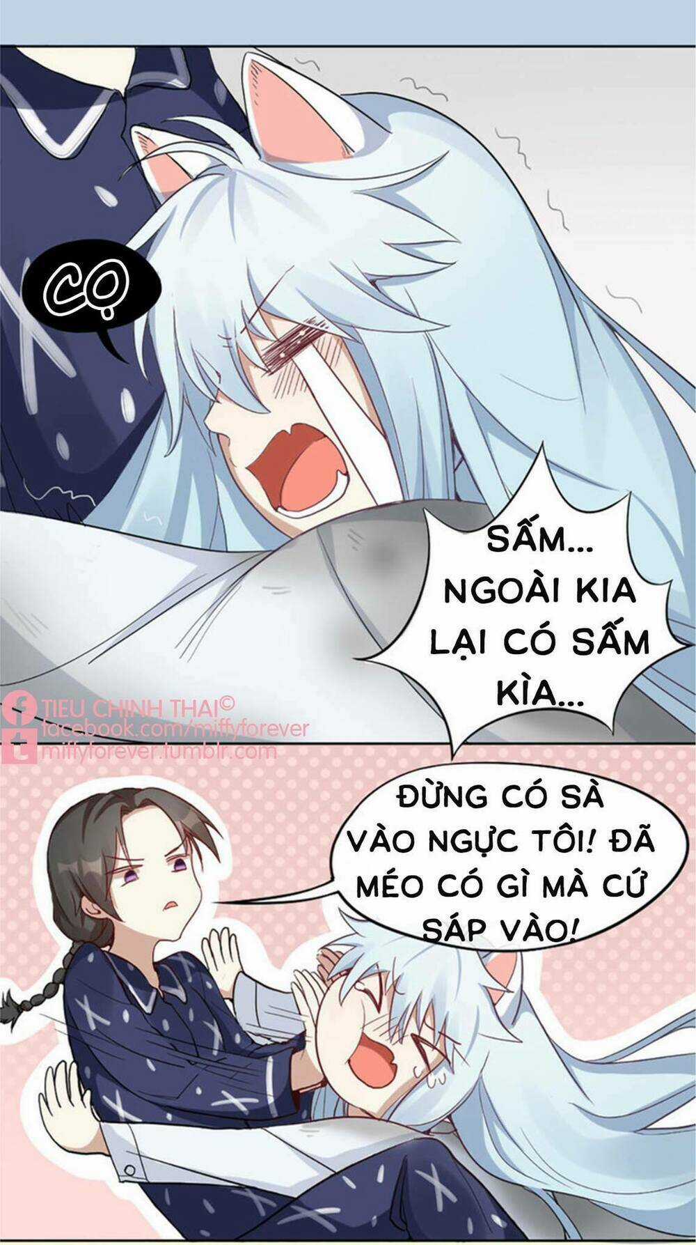 Bạn trai mèo Chapter 4 trang 5