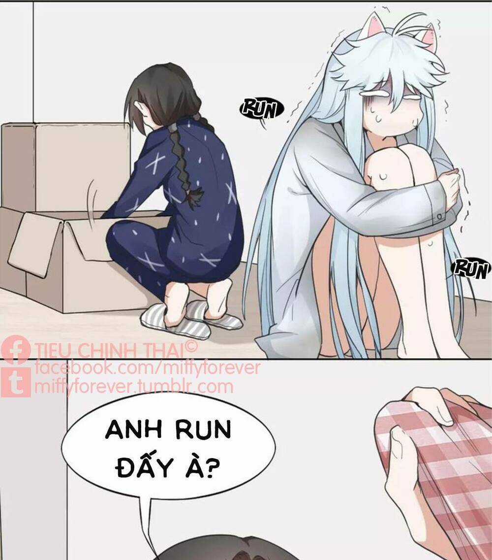 Bạn trai mèo Chapter 5 trang 2