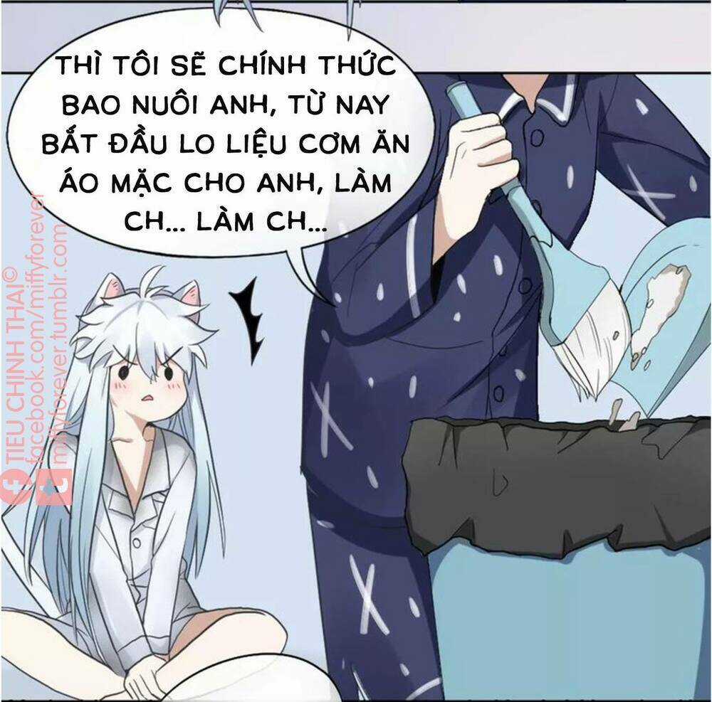 Bạn trai mèo Chapter 5 trang 28