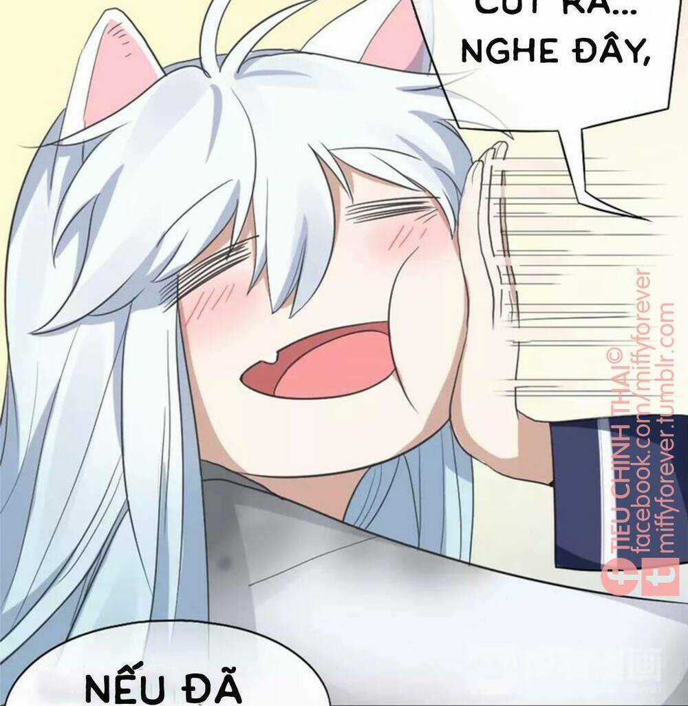 Bạn trai mèo Chapter 5 trang 32