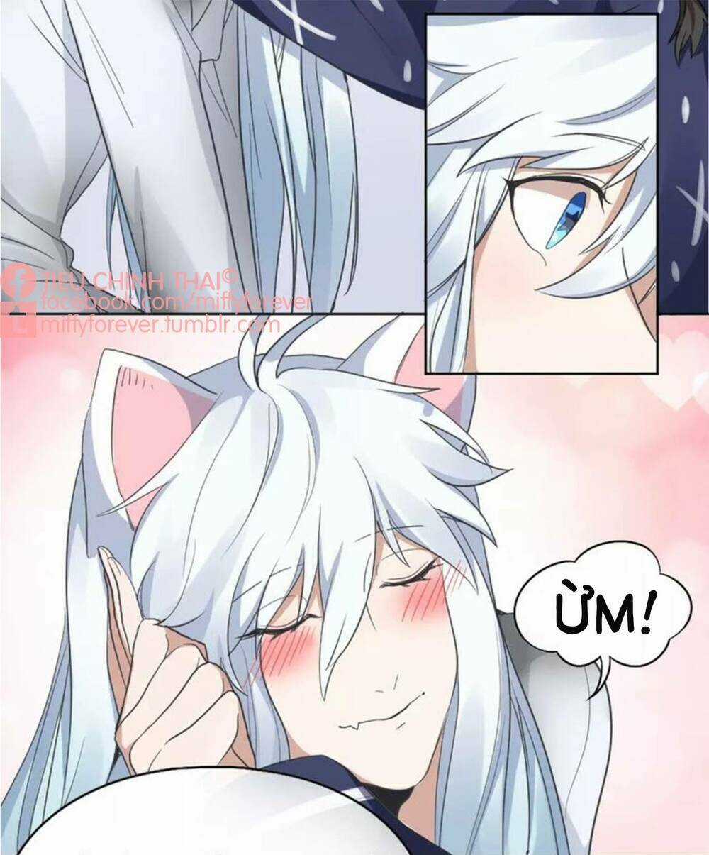 Bạn trai mèo Chapter 5 trang 36