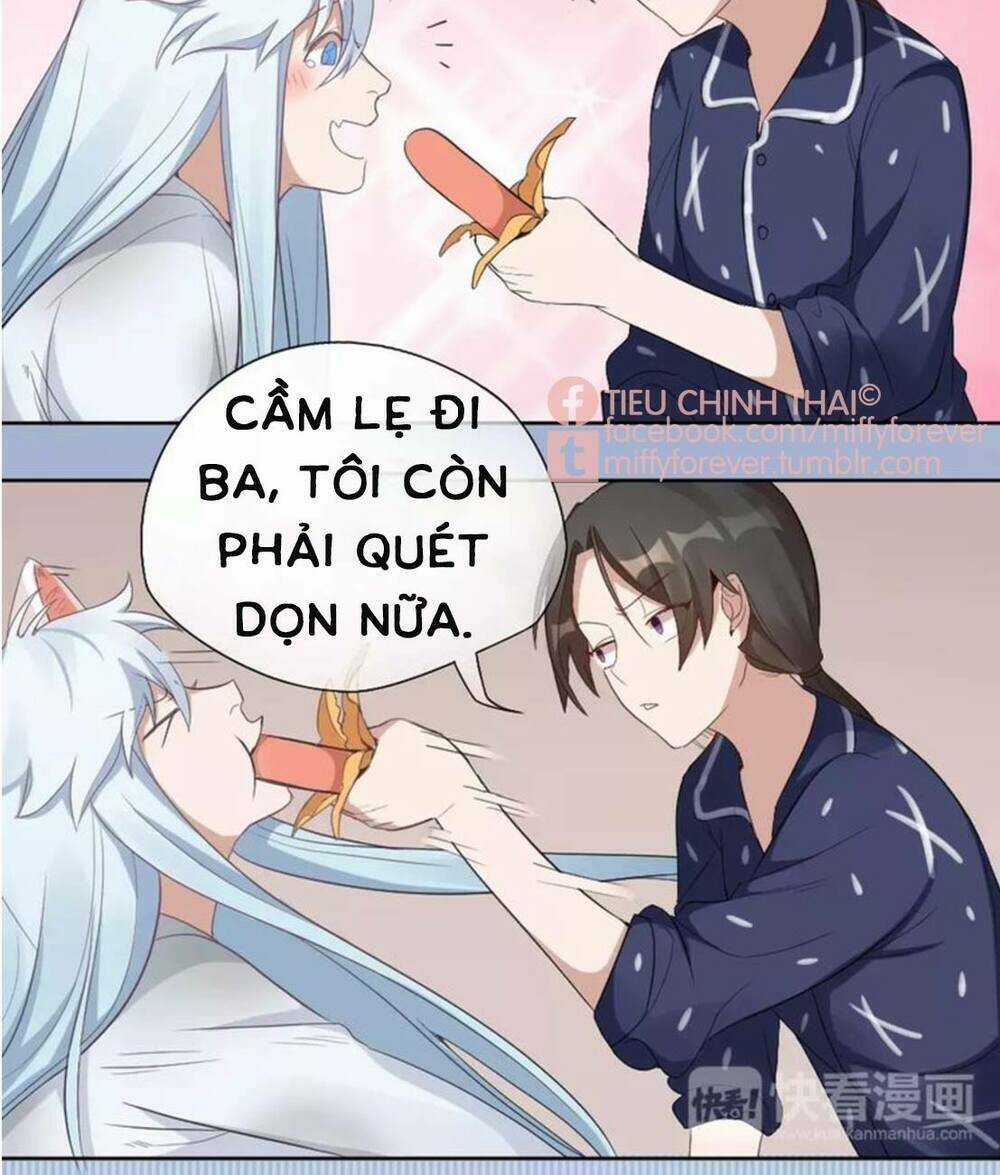 Bạn trai mèo Chapter 6 trang 25