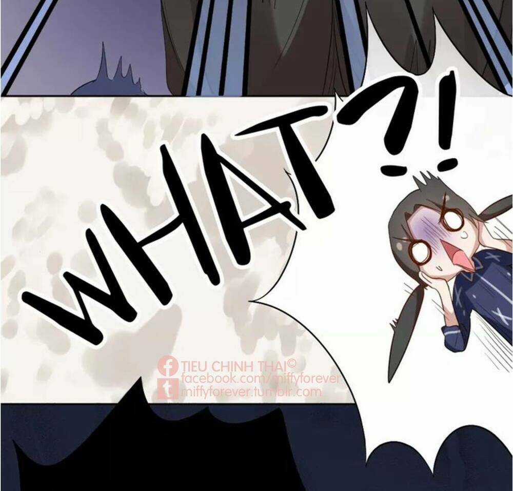 Bạn trai mèo Chapter 6 trang 28