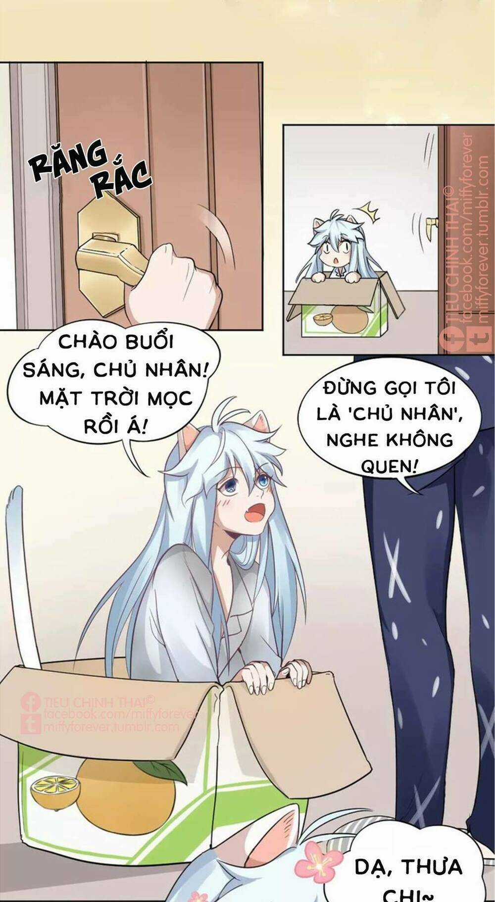 Bạn trai mèo Chapter 6 trang 3