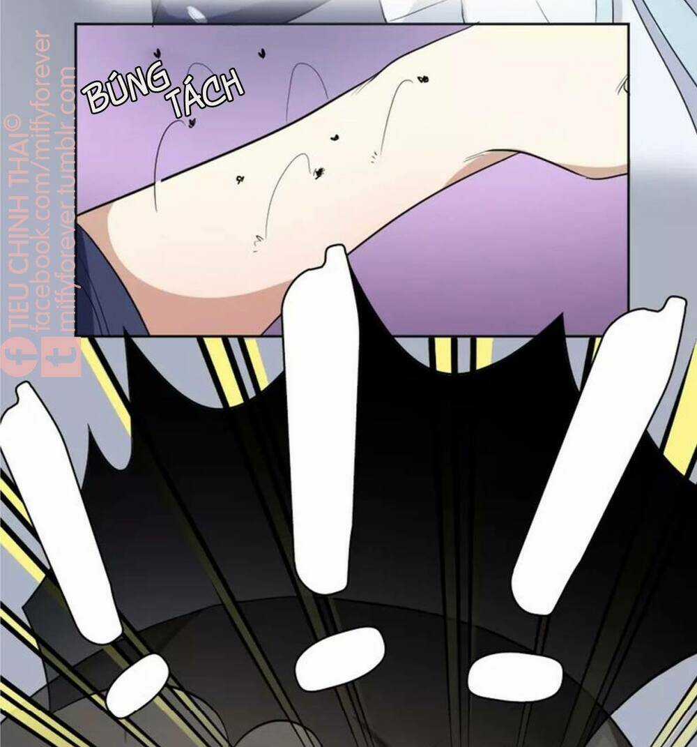 Bạn trai mèo Chapter 6 trang 41