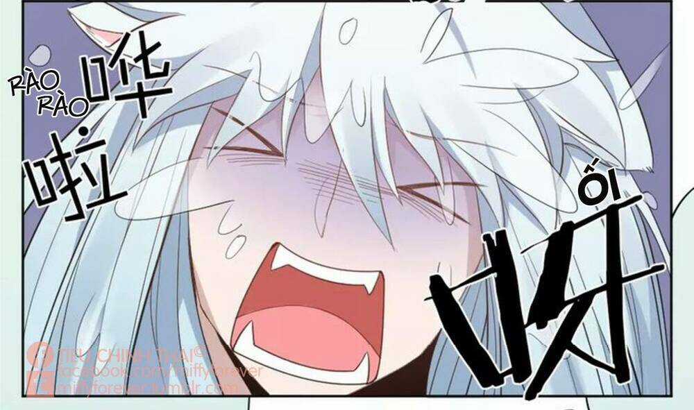 Bạn trai mèo Chapter 7 trang 13