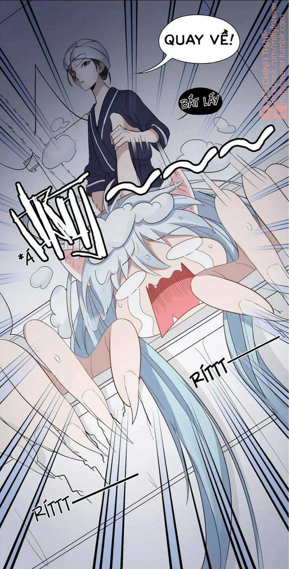 Bạn trai mèo Chapter 7 trang 16