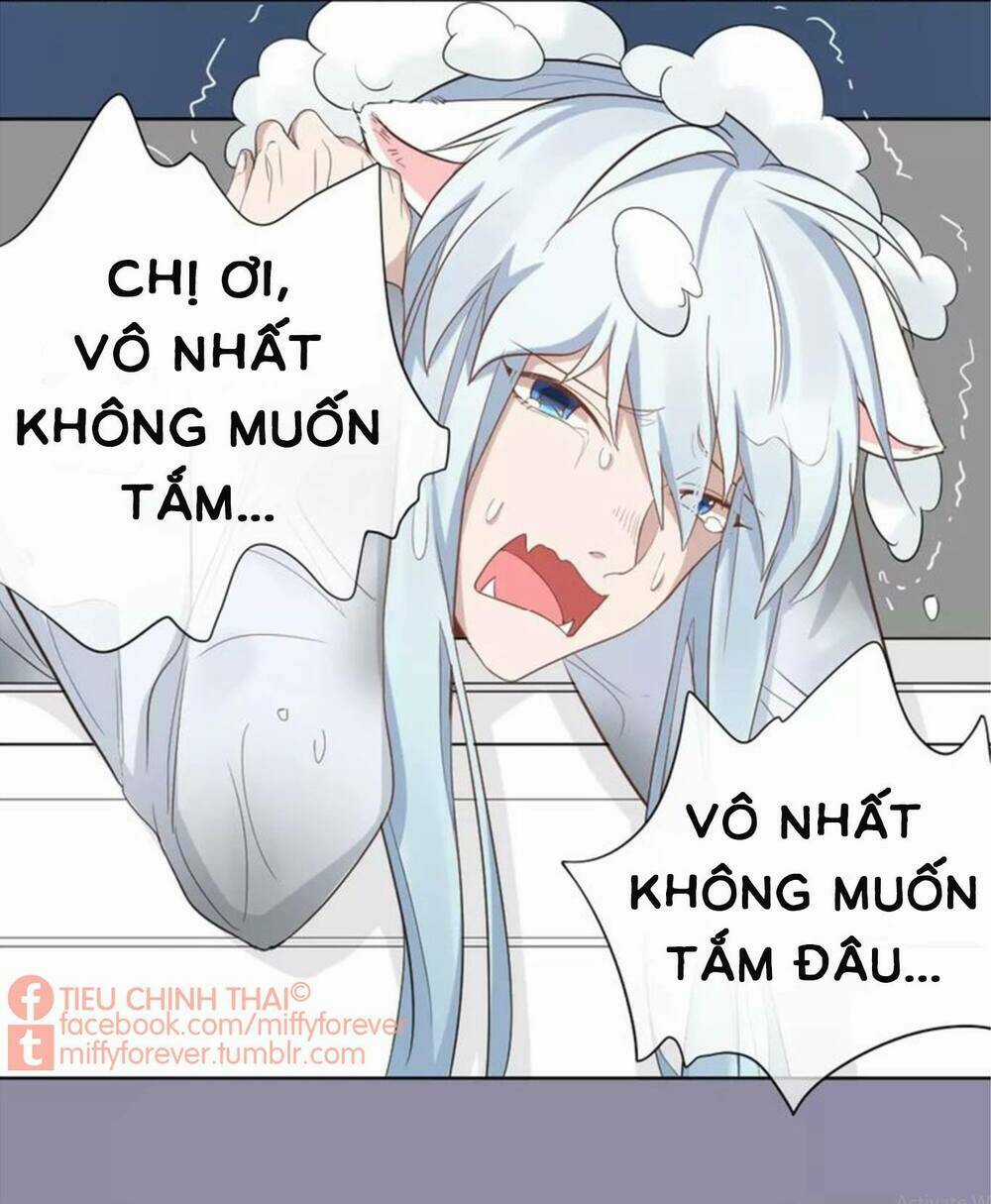 Bạn trai mèo Chapter 7 trang 17