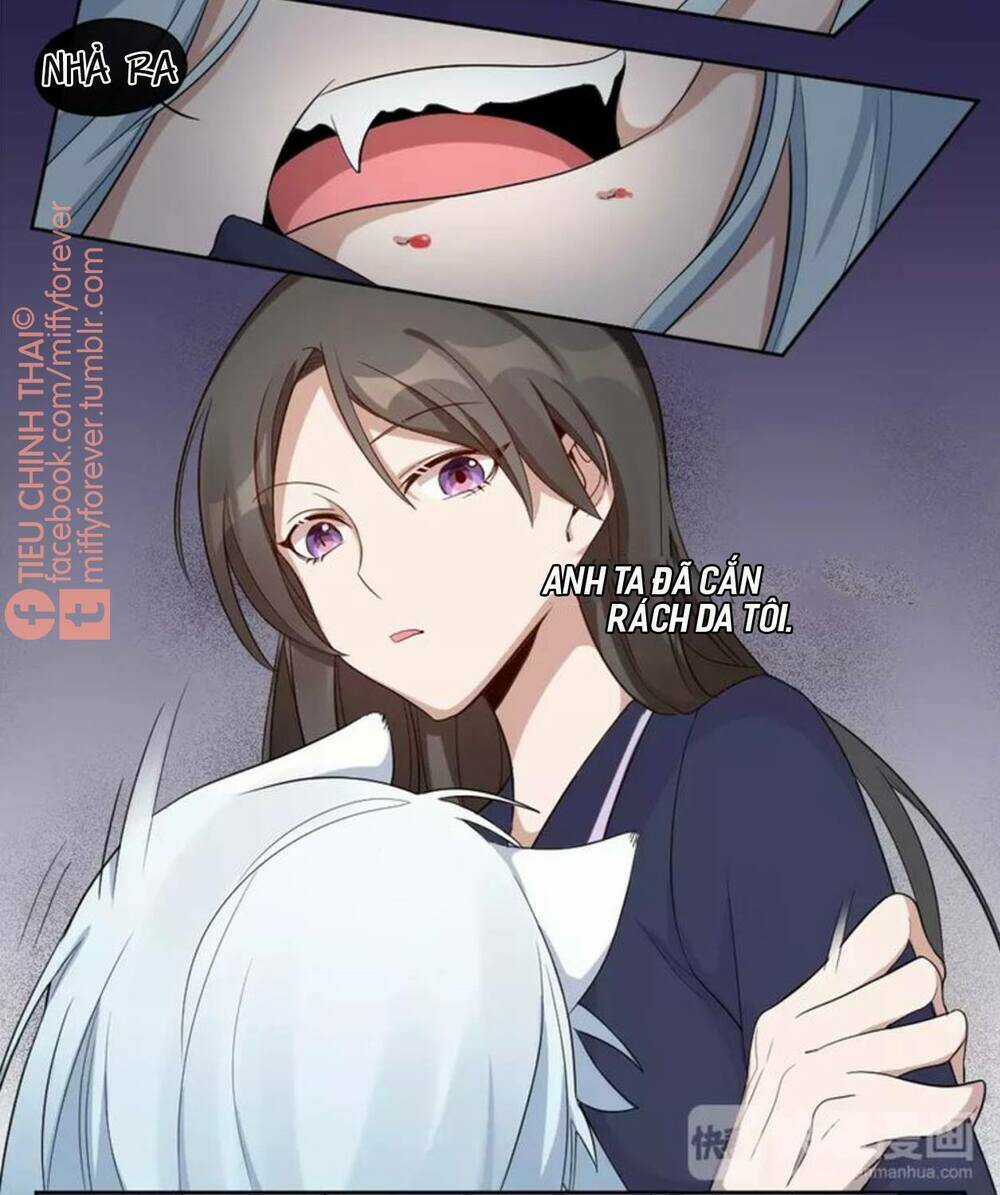 Bạn trai mèo Chapter 7 trang 21