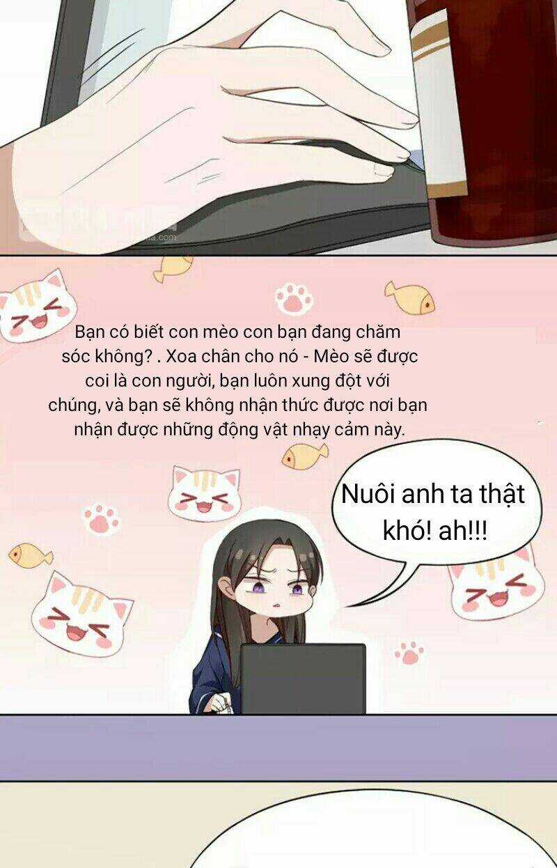 Bạn trai mèo Chapter 8 trang 5