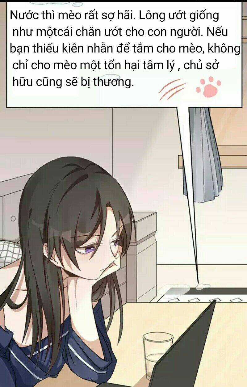 Bạn trai mèo Chapter 8 trang 7