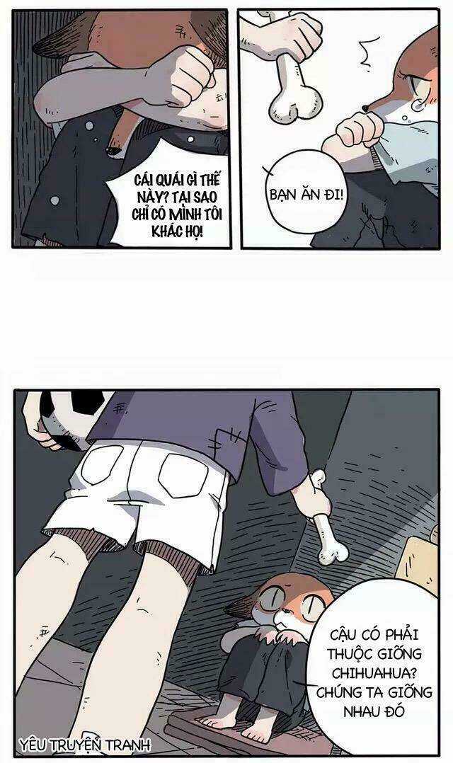 Bạn Trai Tôi Là Cáo Cam Chapter 1 trang 6