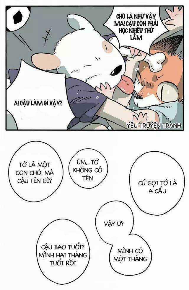 Bạn Trai Tôi Là Cáo Cam Chapter 1 trang 8
