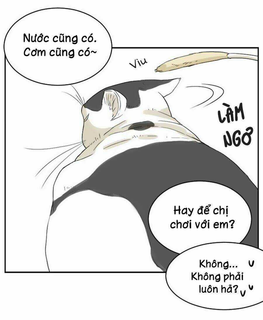 Bạn Trai Tui Chapter 15 trang 6
