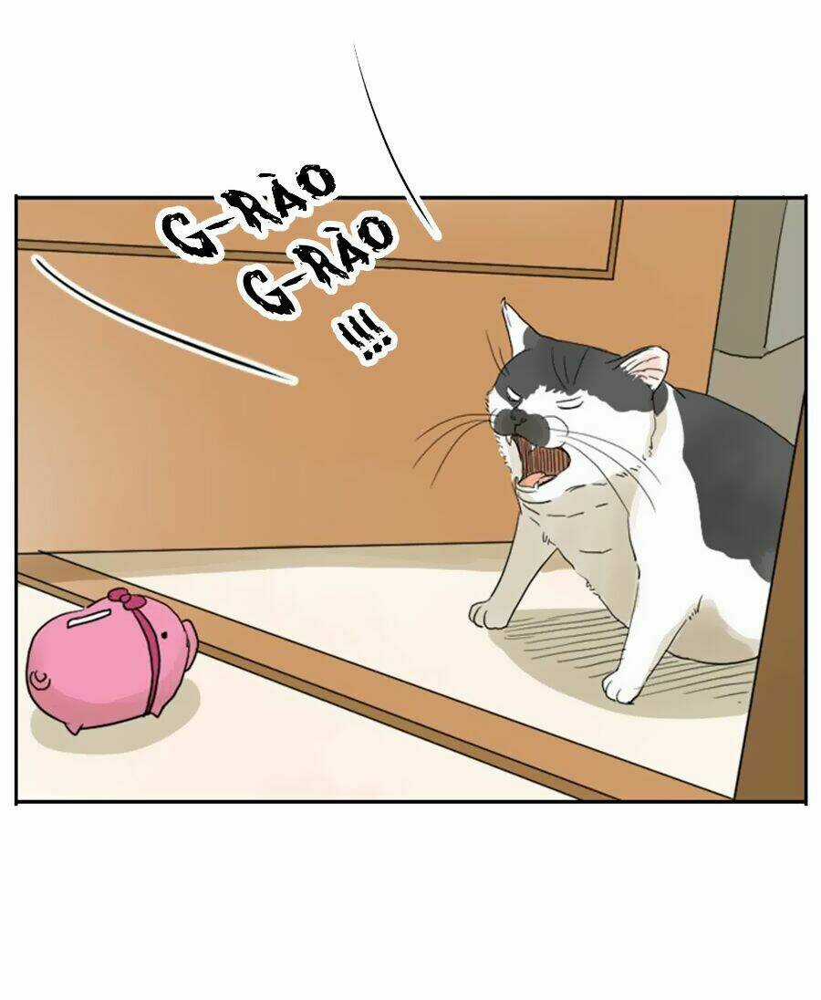 Bạn Trai Tui Chapter 3 trang 23