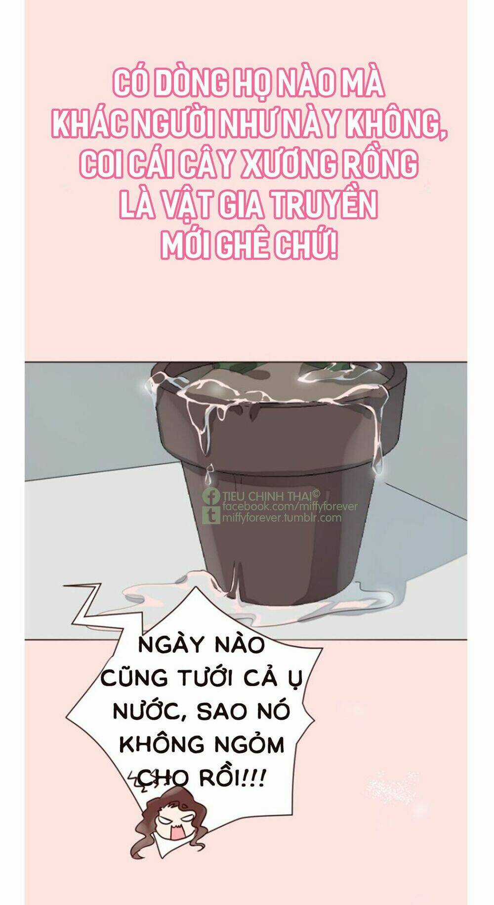 Bạn trai xương rồng Chapter 0 trang 12