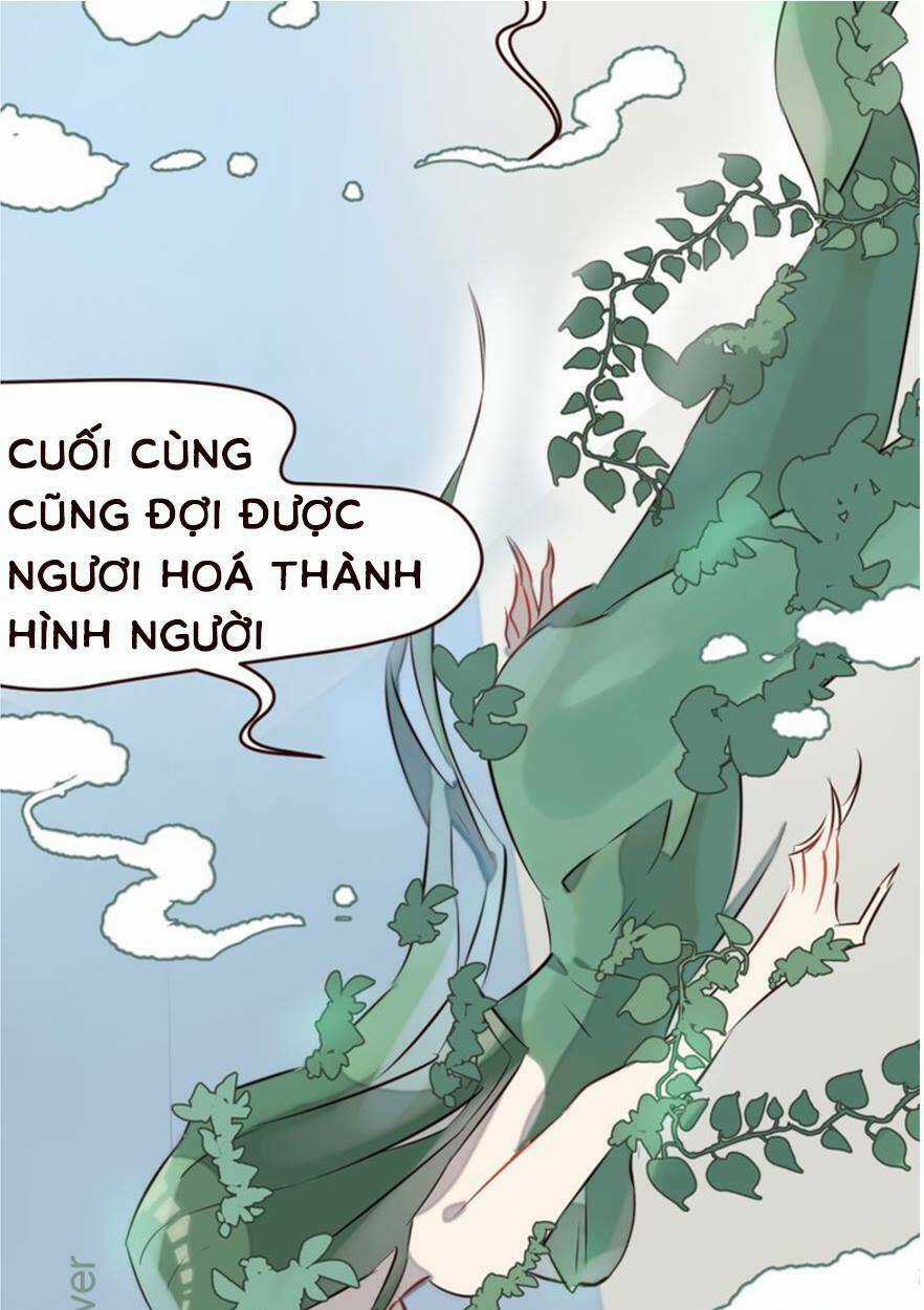 Bạn trai xương rồng Chapter 2 trang 13