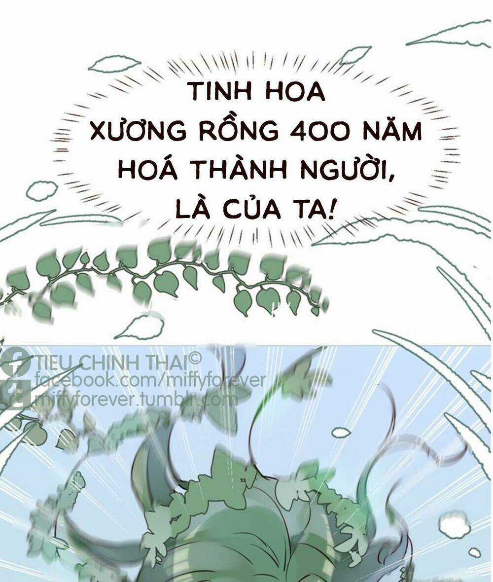 Bạn trai xương rồng Chapter 2 trang 15