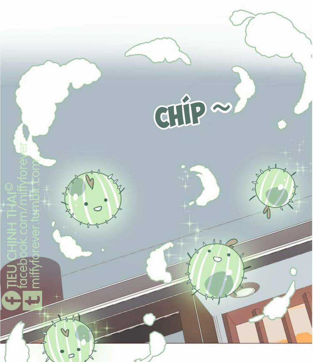 Bạn trai xương rồng Chapter 4 trang 22