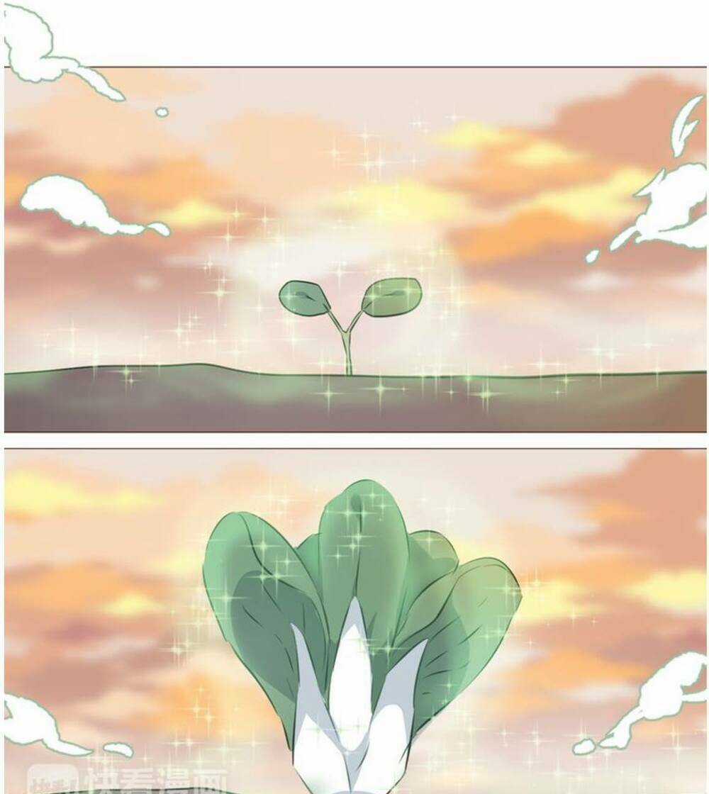 Bạn trai xương rồng Chapter 4 trang 24